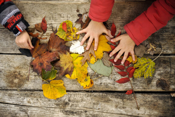 Programme des vacances d&rsquo;automne 2025